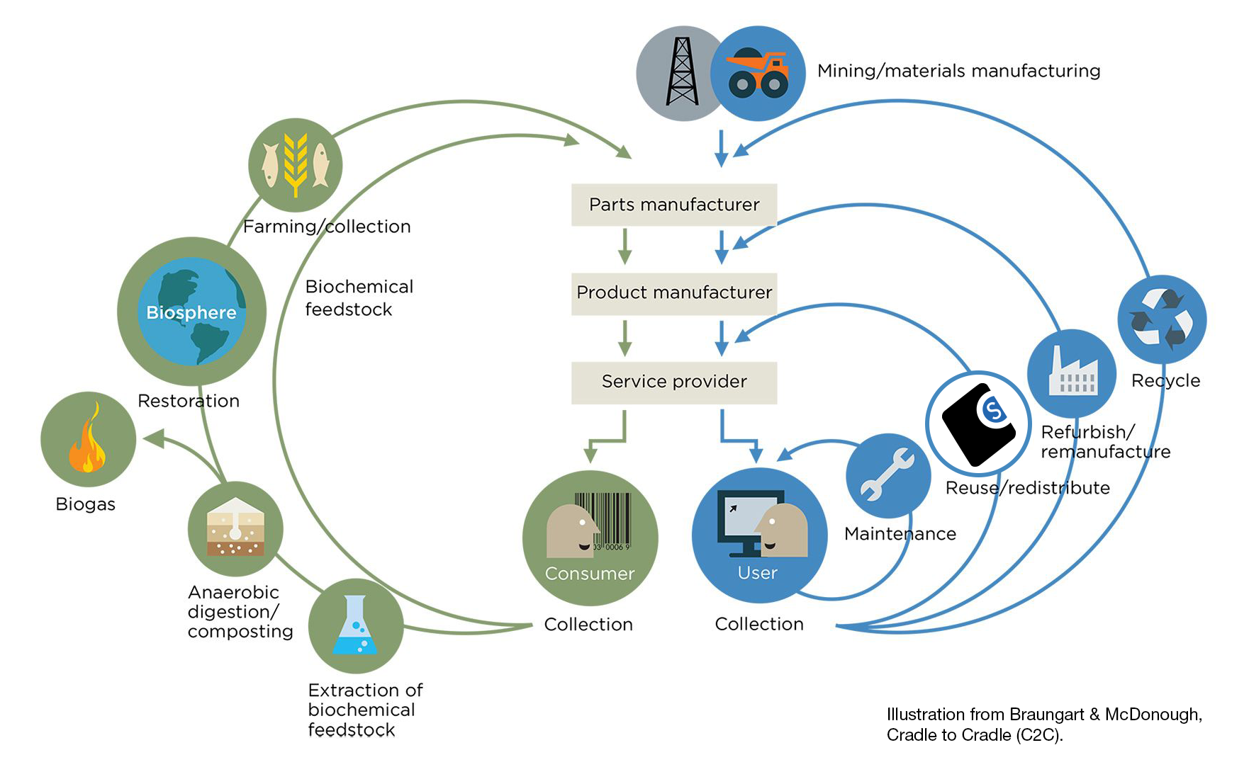 Illustration highlighting cradle to cradle model.