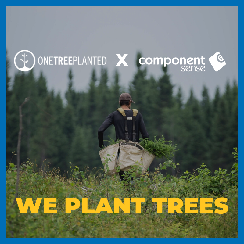 Person planting trees in a field.