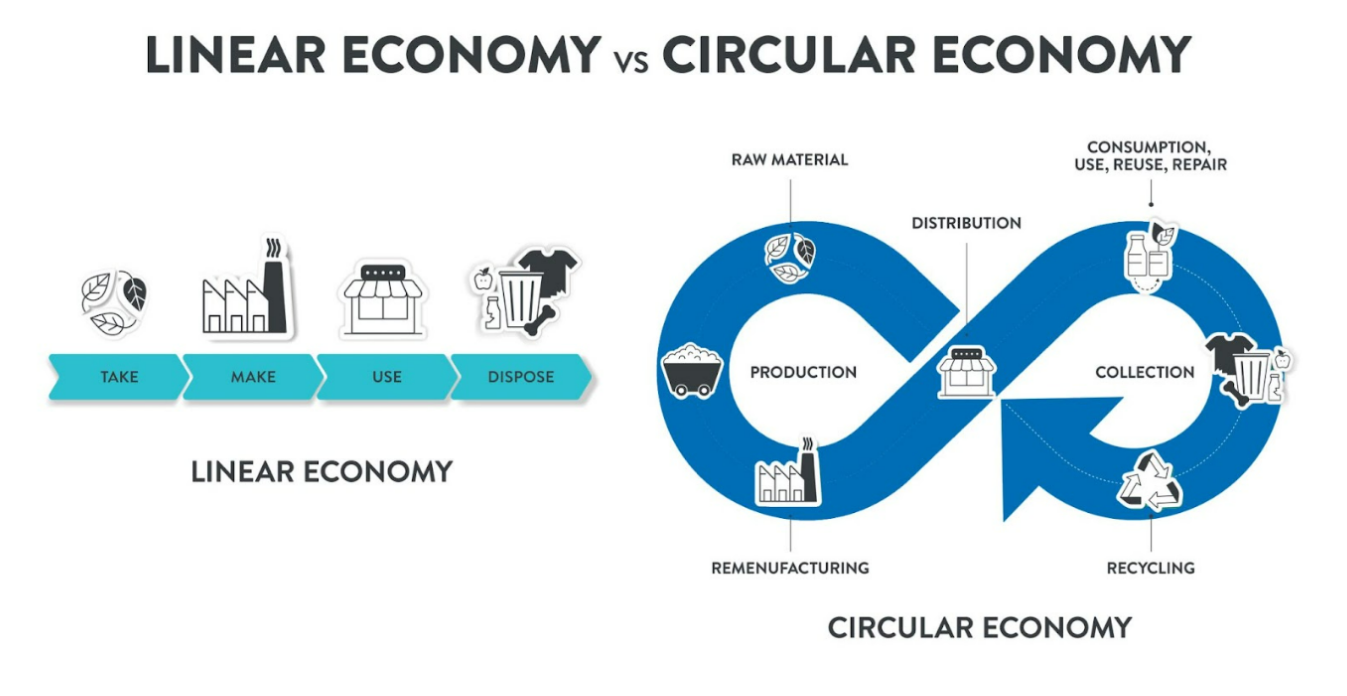 Linear economy vs circular economy comparison. 