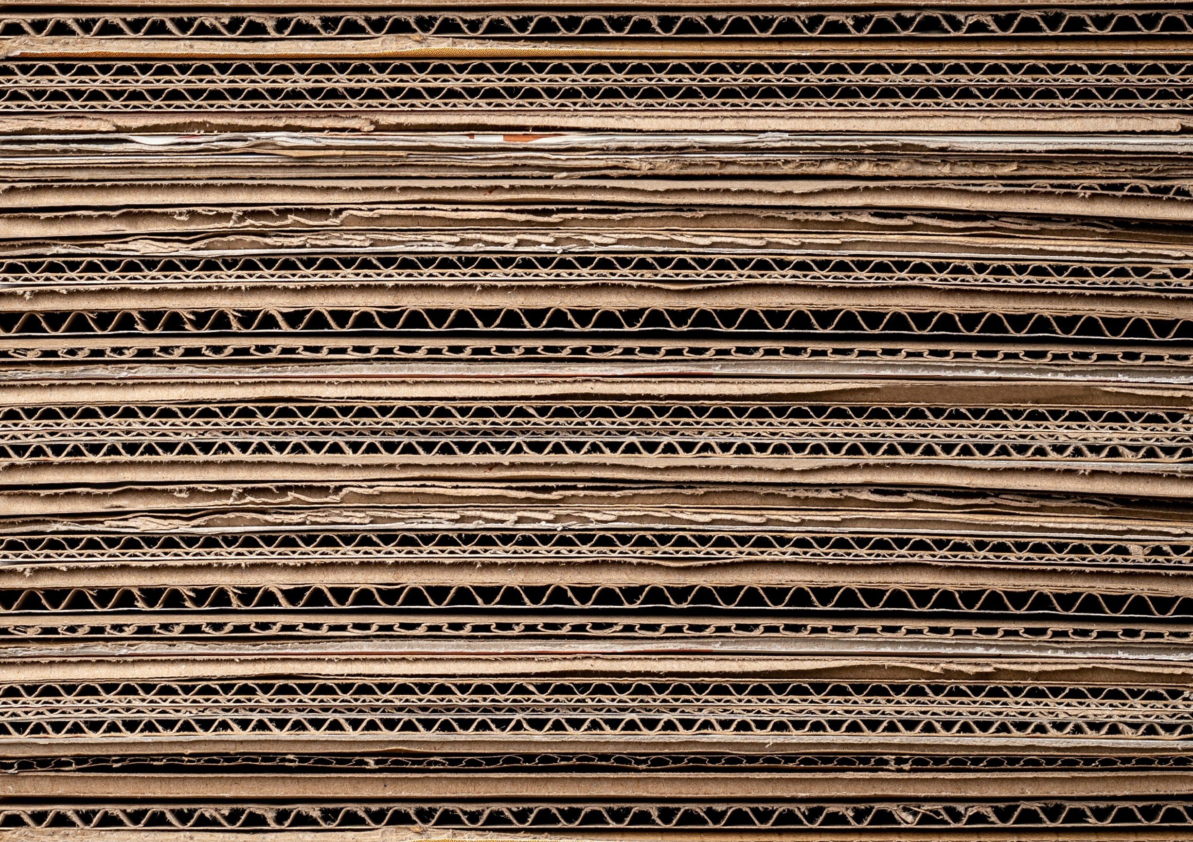 Cross section of corrugated cardboard.